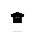 -N- — SEIS Drop 003
