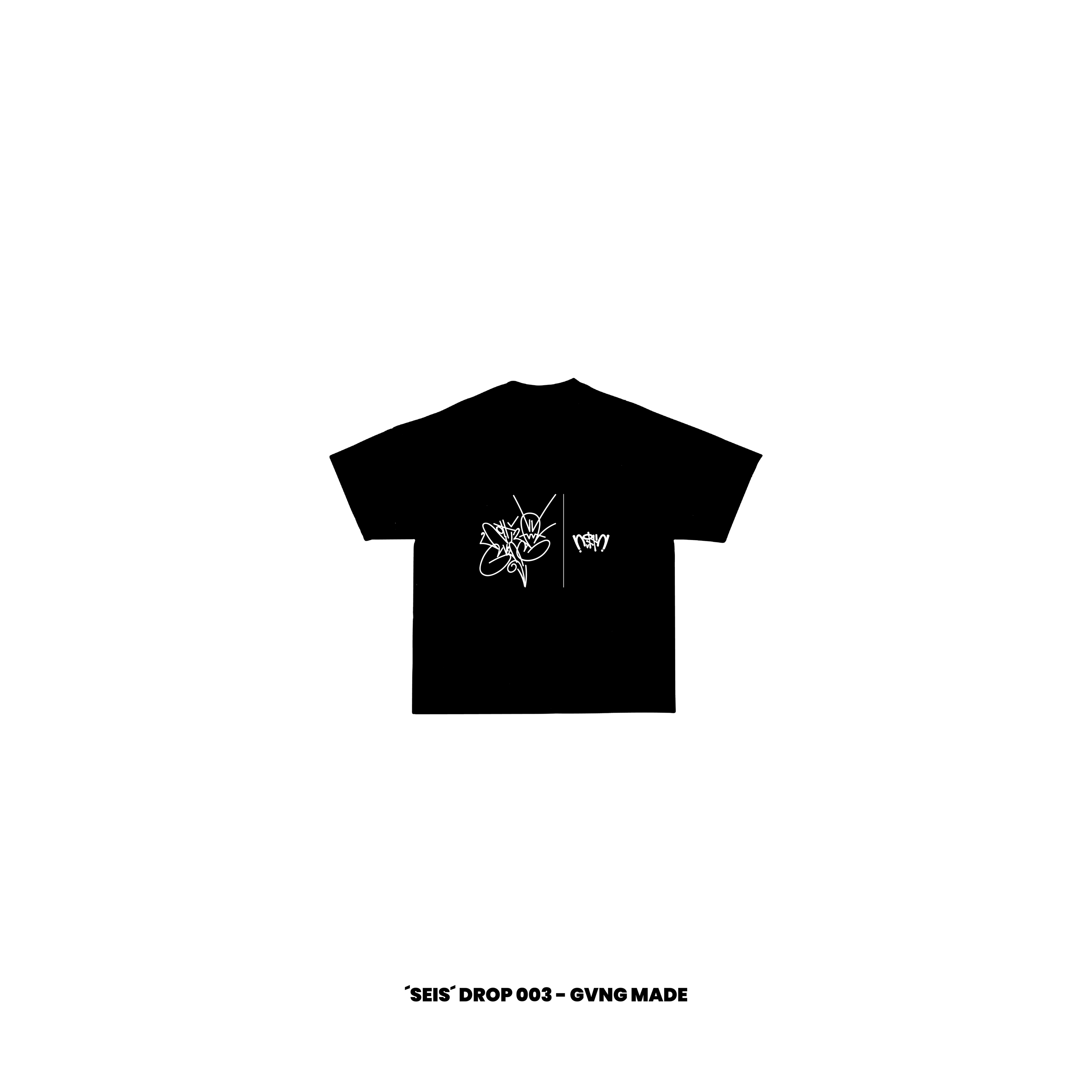 -N- — SEIS Drop 003
