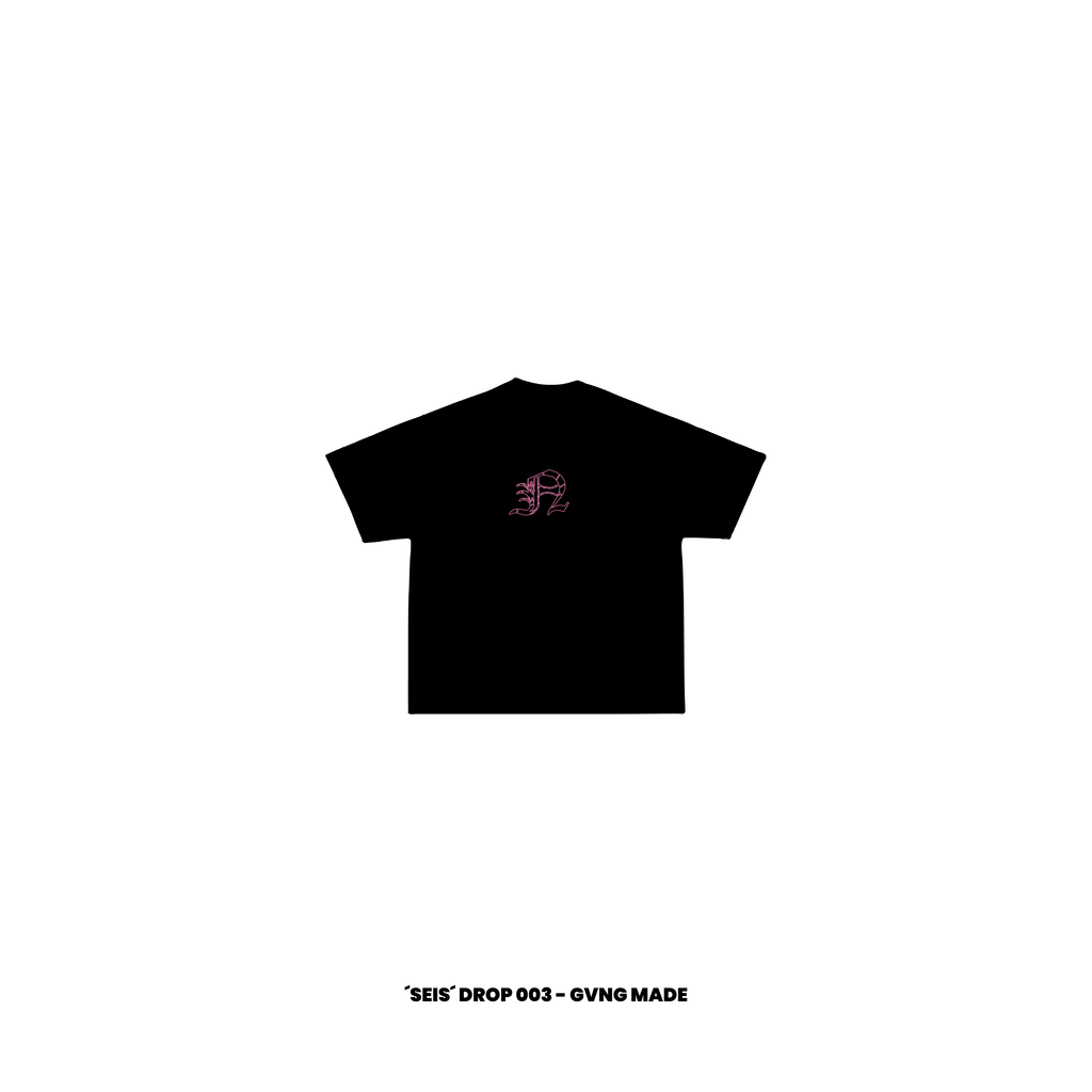 -N- — SEIS Drop 003