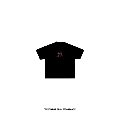 -N- — SEIS Drop 003