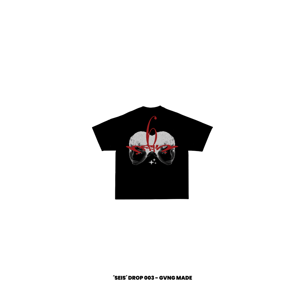 SEIS — SEIS Drop 003