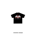 SEIS — SEIS Drop 003