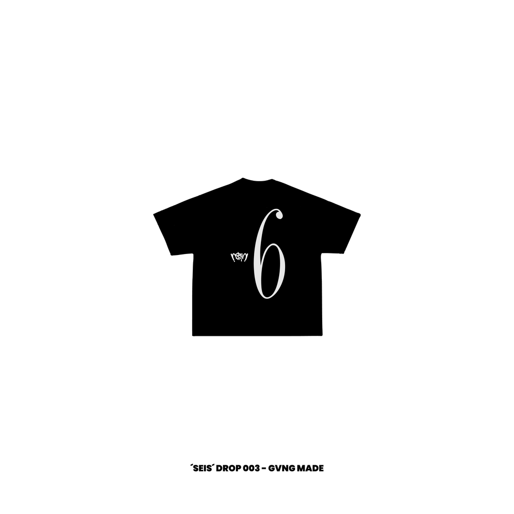 SEIS — SEIS Drop 003